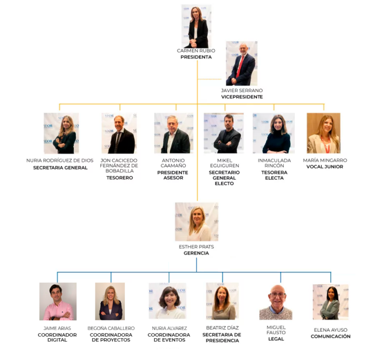 organigrama_seor_2025 768x695 1